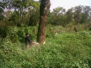 Soal Hardjasari, Pemkab Tunggu Hasil dari BPN
