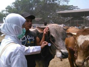Disnakan Pastikan Hewan Qurban di Purwakarta Bebas Penyakit