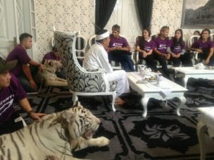 Bupati Purwakarta Dihampiri Dua Harimau Putih