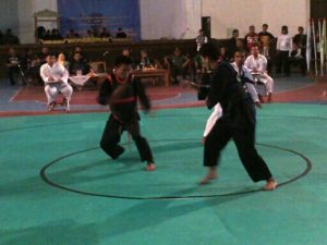 Ratusan Pesilat se-Jabar Ikuti  Kompetisi Maung Bodas Cup 2015