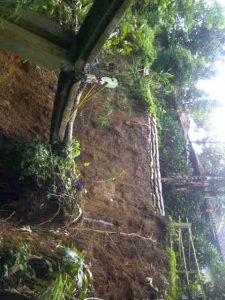 20 Desa di Purwakarta Darurat Longsor