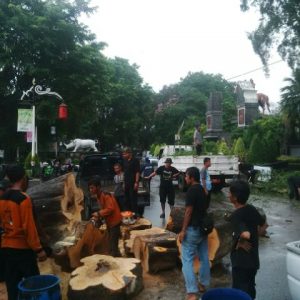 Lagi, Satu Pohon di Situ Buleud Purwakarta Tumbang