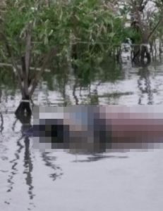 Mayat Laki-Laki Tanpa Identitas Ditemukan Mengapung di Waduk Cirata Purwakarta