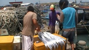 Meski Menantang Maut, Nelayan Plara Nekat Melaut