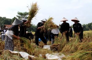Panen Raya Pelajar Purwakarta, Buah Pendidikan Karakter