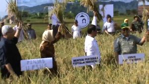 Pemerintah Akan Beli Gabah Hasil Petani dengan Harga Tinggi
