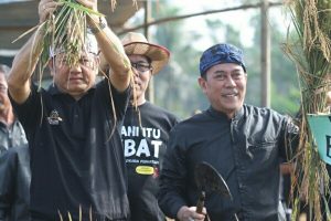 Wakil Bupati Dadan Koswara : Panen Raya Kado Terindah Ulang Tahun Purwakarta