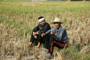 Dedi Mulyadi Inginkan Perubahan Tata Kelola Beras