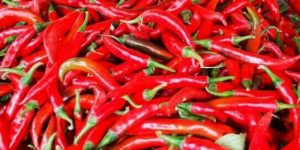 Musim Penghujan, Harga Cabai Meroket