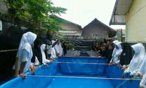 Satu Bulan Ternak Pelajar SDN Cijaya Purwakarta Panen Lele