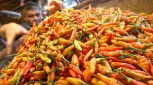 Cabe-cabean Sukabumi Melangit