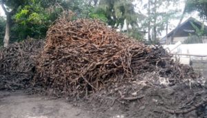 PLN Bantah Soal Kabel di Gorong-Gorong