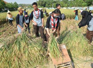 Panen Raya Jadi Pendidikan Karakter Pelajar di Purwakarta