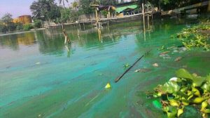 Sidak Anggota DPRD Depok Diduga Masuk Angin