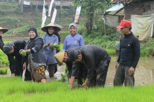 Manfaatkan Lahan Tidur Purwakarta Perluas Area Tanam