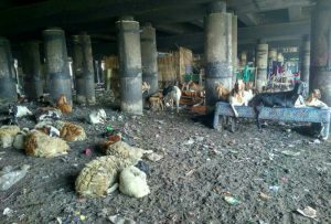 470 Ton Sampah Diangkut dari Kolong Tol Wiyoto Wiyono