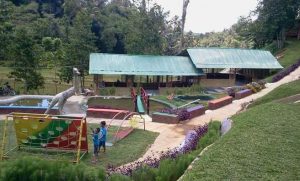 Batu Apung Alam Hijau Destinasi Wisata Edukasi Keluarga di Wanayasa Purwakarta