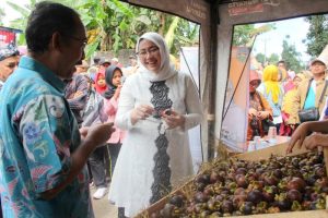Ribuan Masyarakat Padati Festival Manggis Purwakarta 2019