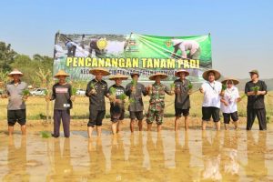 Pemkab Purwakarta Selamatkan Lahan Pertanian Sejak 2018