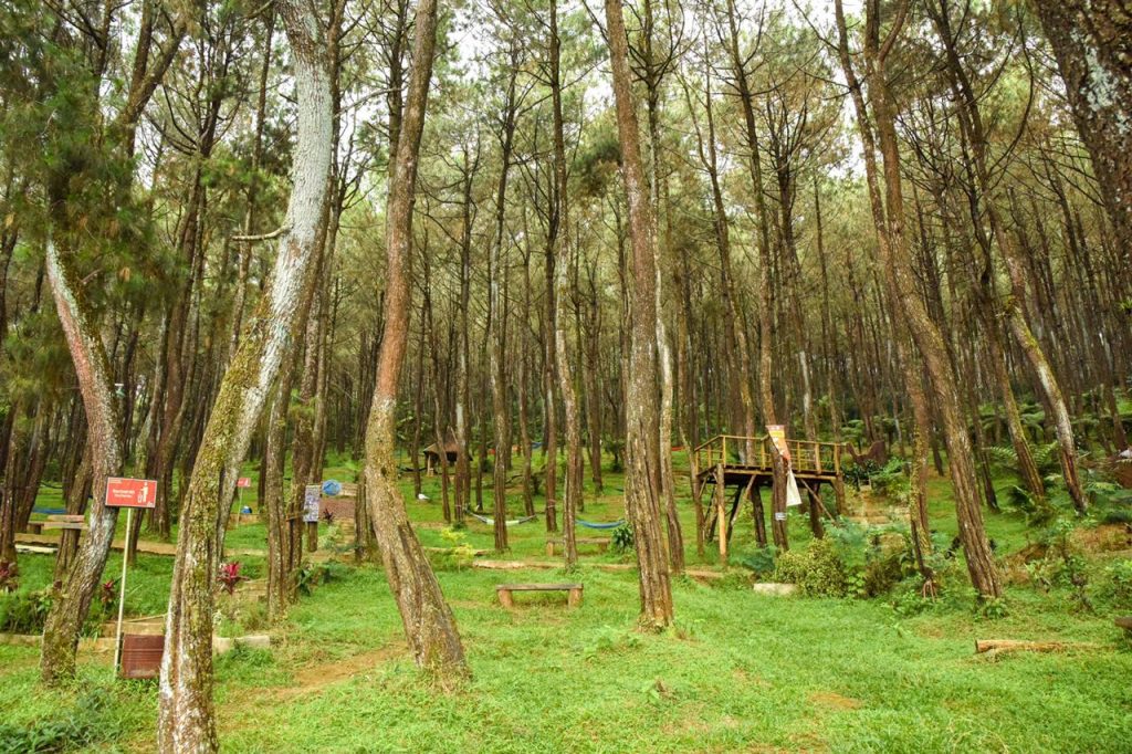 Protokol Kesehatan Wisata Ujung Timur Dicek