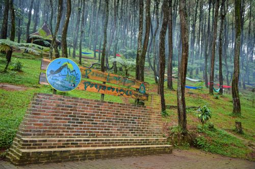Pariwisata dan Solusi Pemulihan Ekonomi