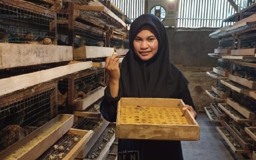 Petani Milenial Program Baru Pemprov Jabar Masuki Tahap Magang
