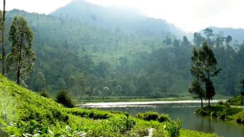 Gubenur Jabar Sampaikan Pemulihan Sungai Citarum di Konferensi Dunia COP26