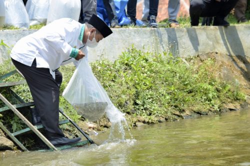 Wagub Uu Ruzhanul Tebar Seribu Benih Ikan di Sungai Surakatiga Kuningan