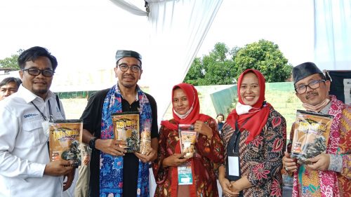 Kolaborasi Jasa Tirta II dan 9 BUMN Gelar Pasar Rakyat