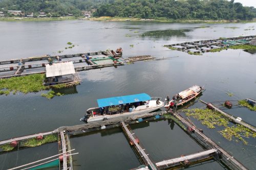 Jasa Tirta II Dukung Penertiban KJA di Waduk Jatiluhur