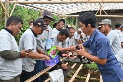Ewindo Bangun Learning Farm di 8 Kabupaten untuk Tingkatkan Wawasan Petani
