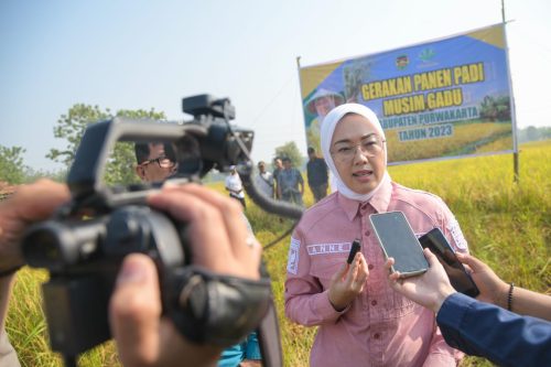 Saran Bupati Purwakarta Kepada Petani, Segera Miliki Kartu Tani