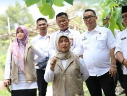Program Gemar Makan Ikan, Gebrakan Pemkab Purwakarta untuk Cegah Stunting