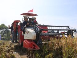 Panen Padi Hasil Budidaya Mandiri, BULOG Terapkan Smart Farming di Karawang