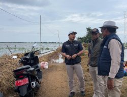 Hujan Deras Rendam Sawah, Petani Terancam Rugi: BULOG Hadir Jaga Harga Gabah Rp6.500